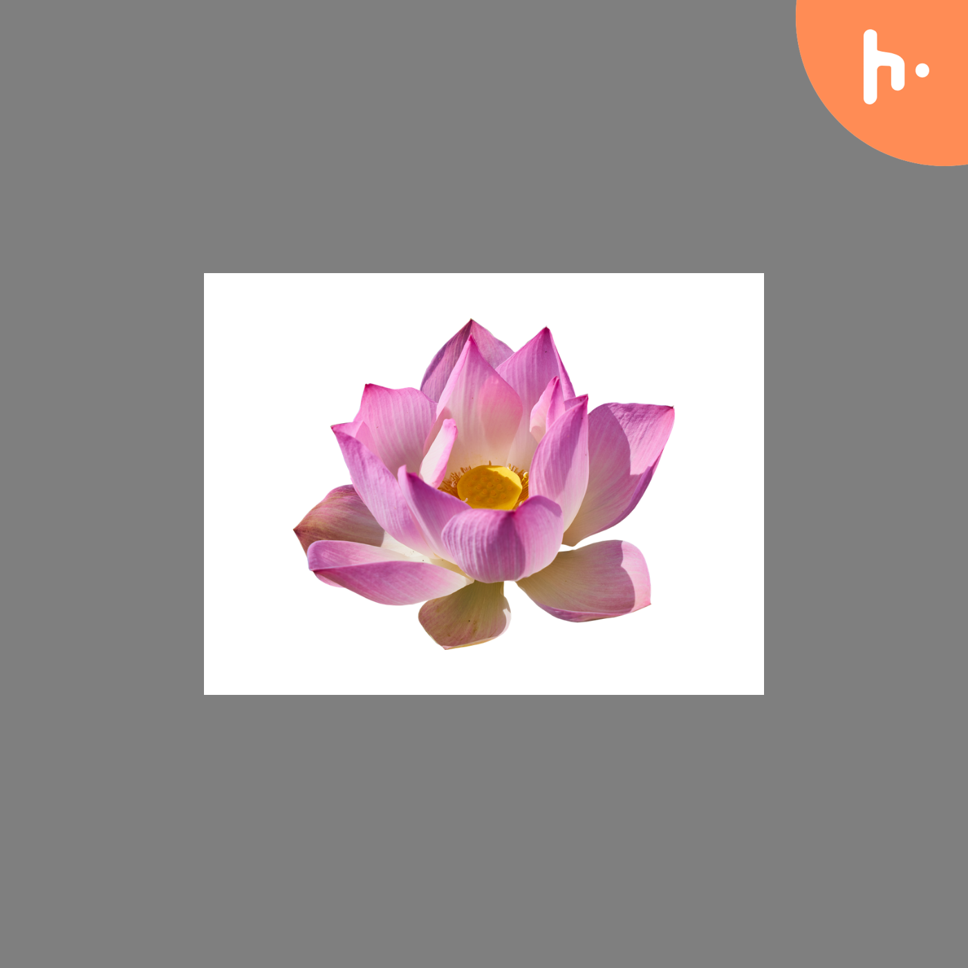 अमृत-तुल्य podcast artwork