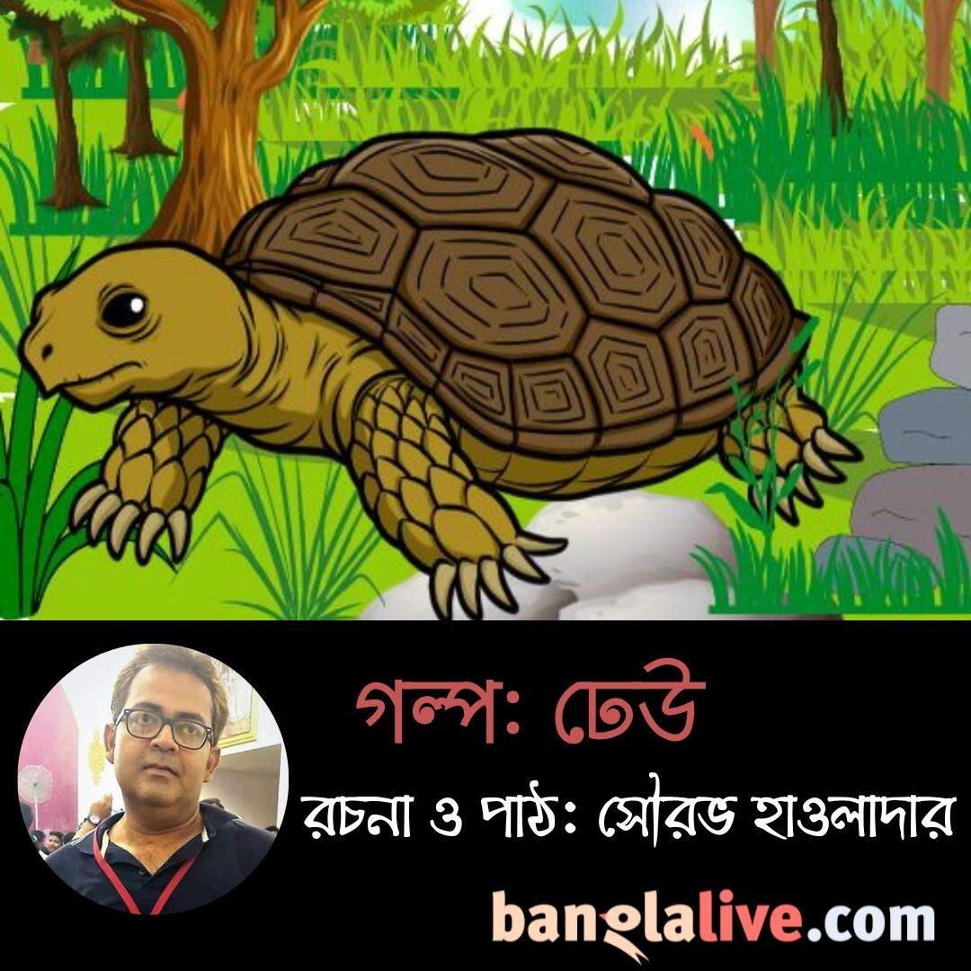 Banglalive Podcast