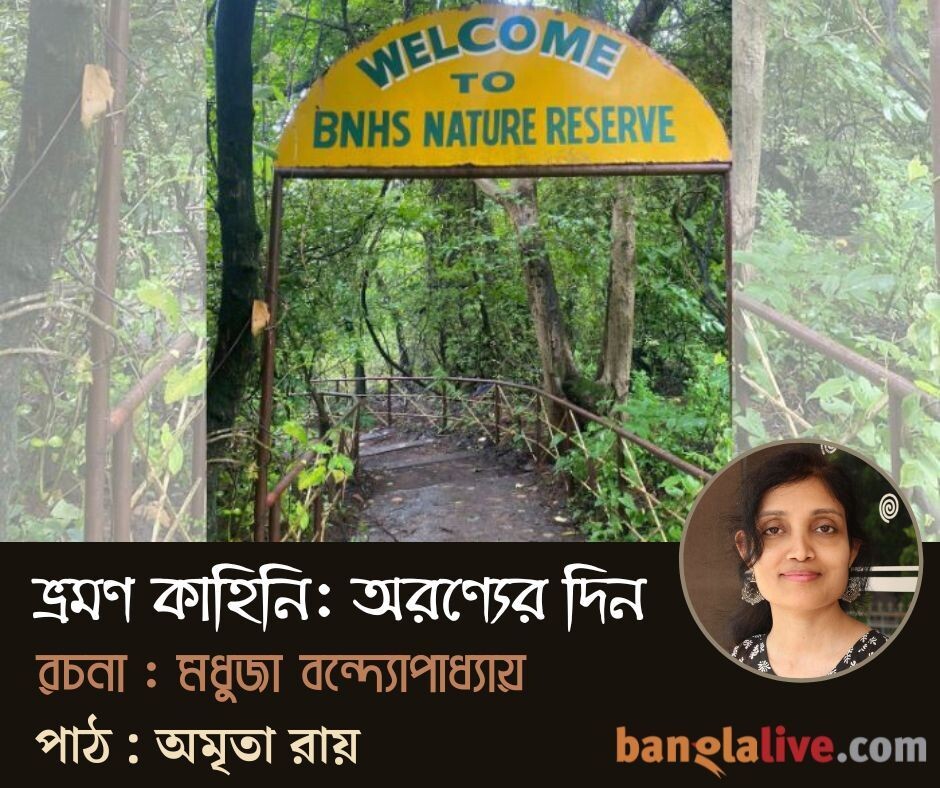 Banglalive Podcast