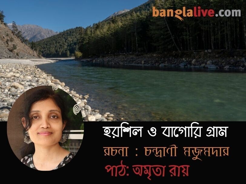 Banglalive Podcast