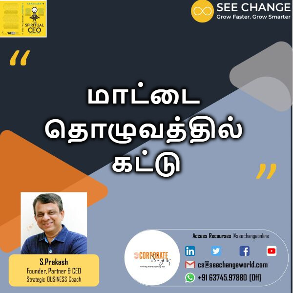 மாட்டை தொழுவத்தில் கட்டு episode artwork