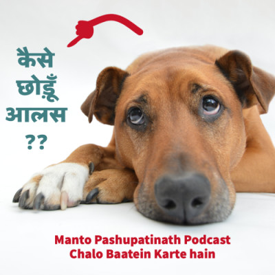 कैसे छोड़ूँ आलस?? कैसे छोड़ूँ आलस??