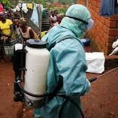 MARBURG VIRUS KNOW ABOUT SYMPTOMS TREATMENT ORIGIN MARBURG VIRUS KNOW ABOUT SYMPTOMS TREATMENT ORIGIN