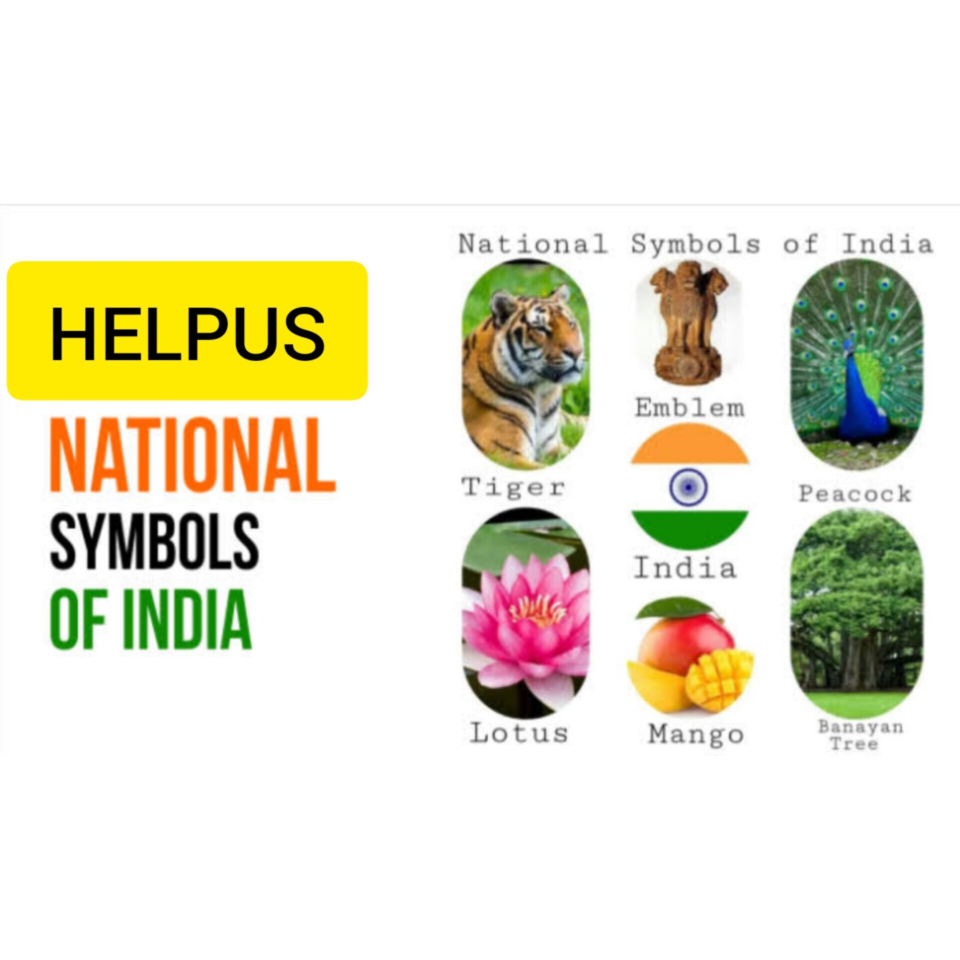 NATIONAL SYMBOLS OF INDIA NATIONAL SYMBOLS OF INDIA