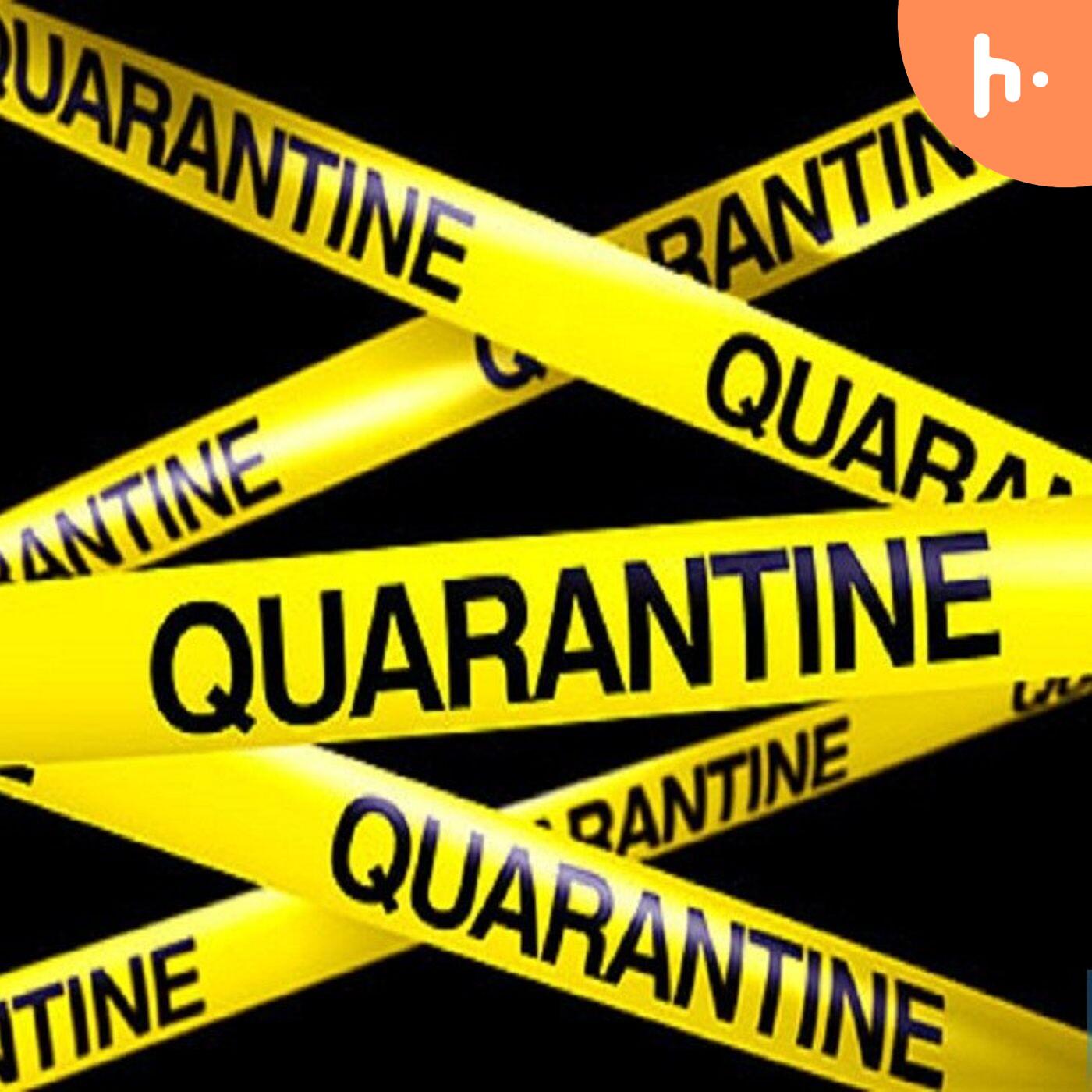 Curiosità in quarantena