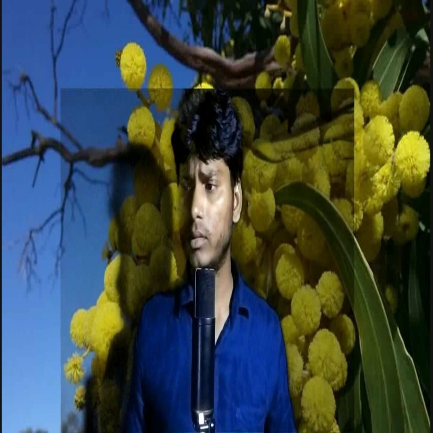 Jab samay hola Kam jor ta har koi sath chhod Dela Superhit Mithun Jogiya Audio Mp3 song episode artwork