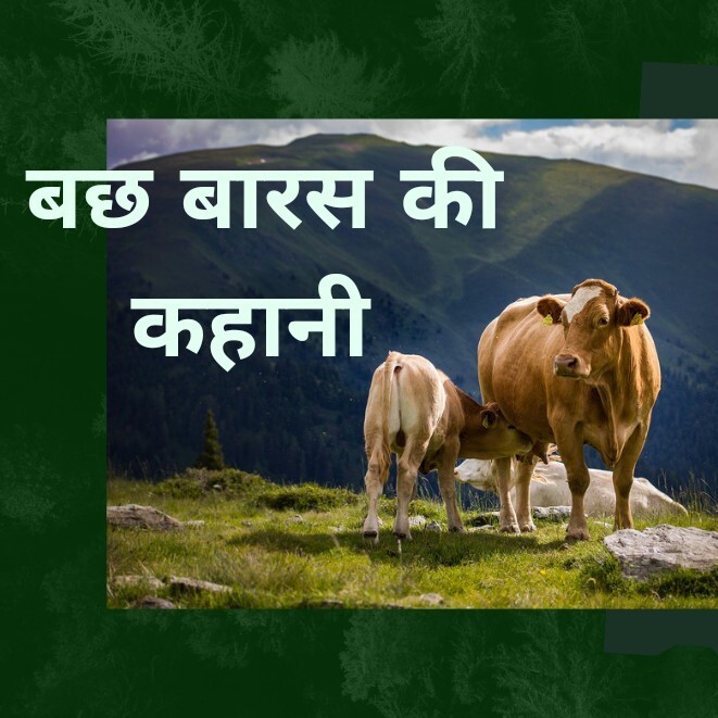 Bachhbaras kahani 01