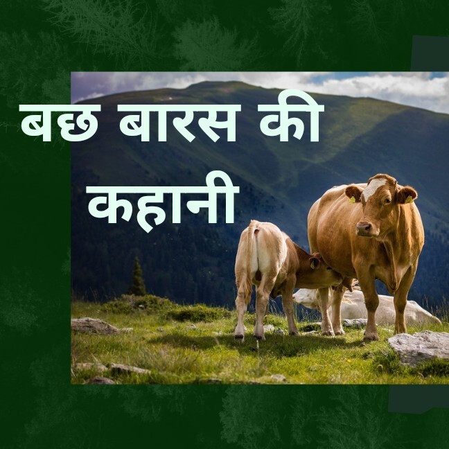 Bachhbaras kahani 02