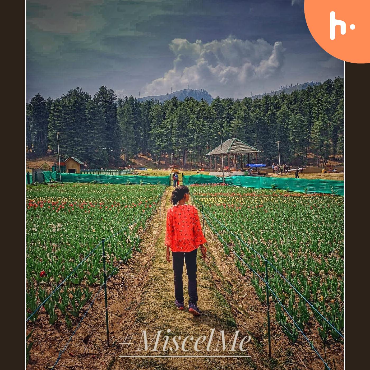 MiscelMe podcast artwork