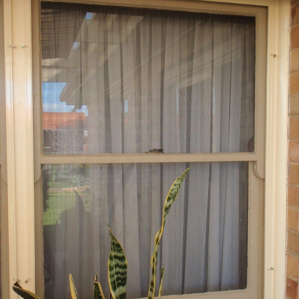 Fly Screens vs. Security Screens: What's Right for Your Home?