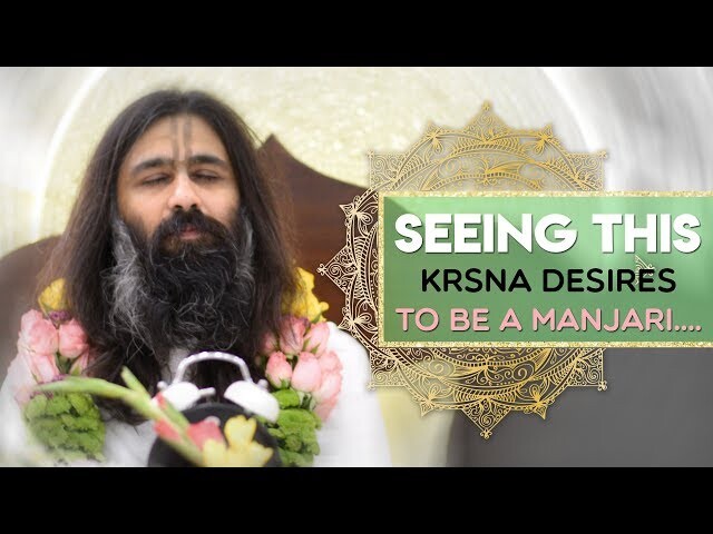 Seeing this Krsna desires to be a manjari.... episode artwork