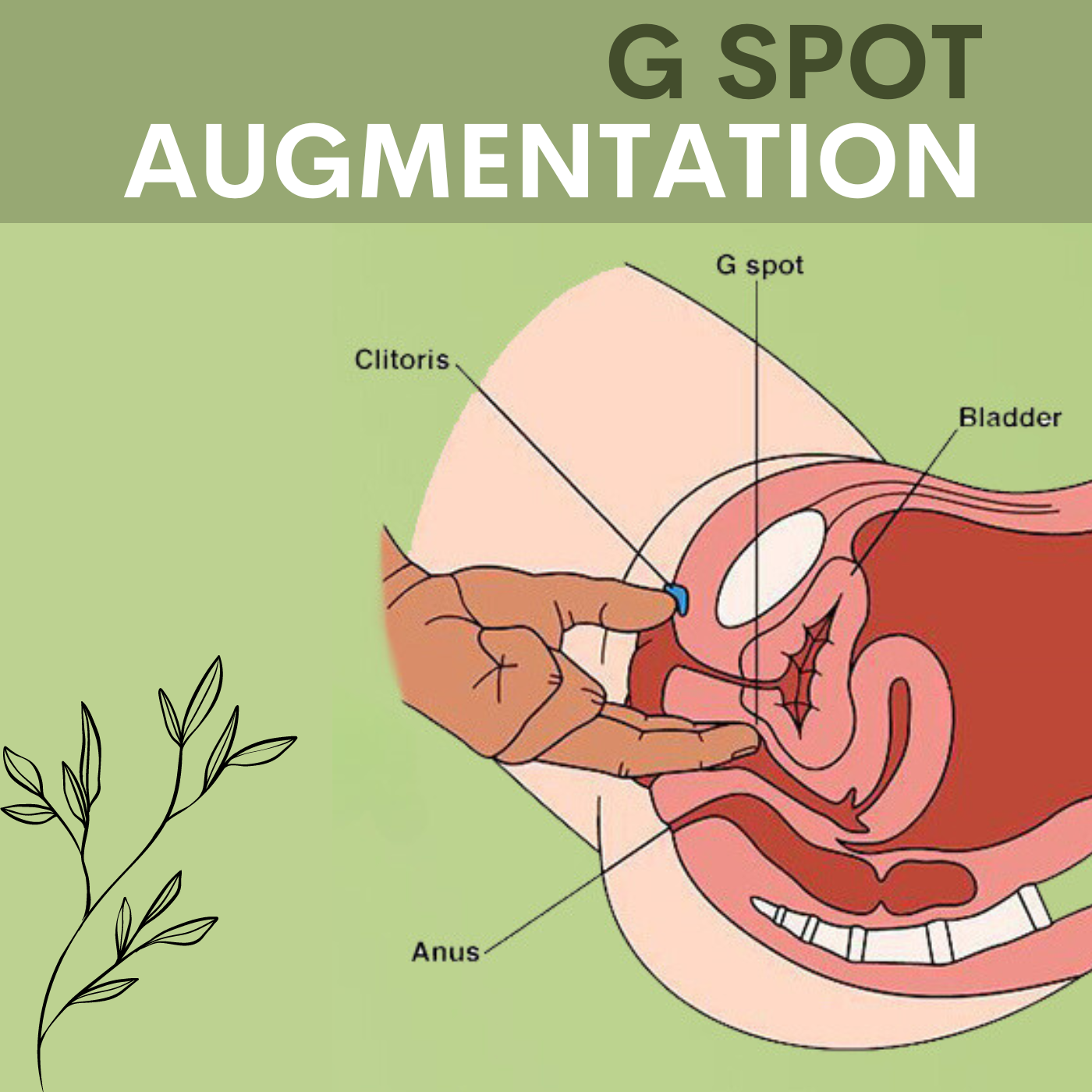 G Spot Augmentation, G-spot amplification, laser vaginal rejuvenation, Surat, Gujarat, Mumbai, India episode artwork