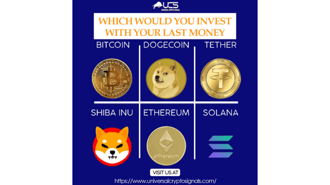 Unlocking Success: Universal Crypto Signals for Profitable Investments