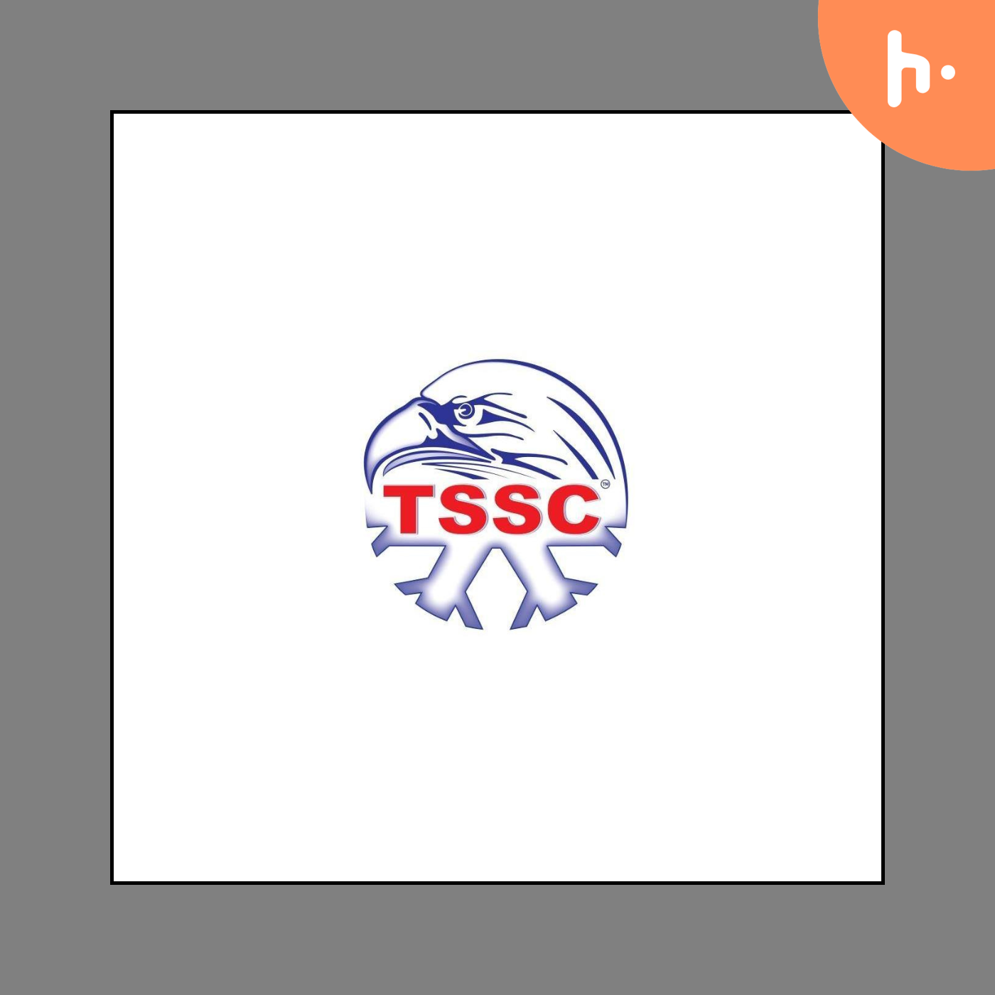 Technical Supplies & Services Co.