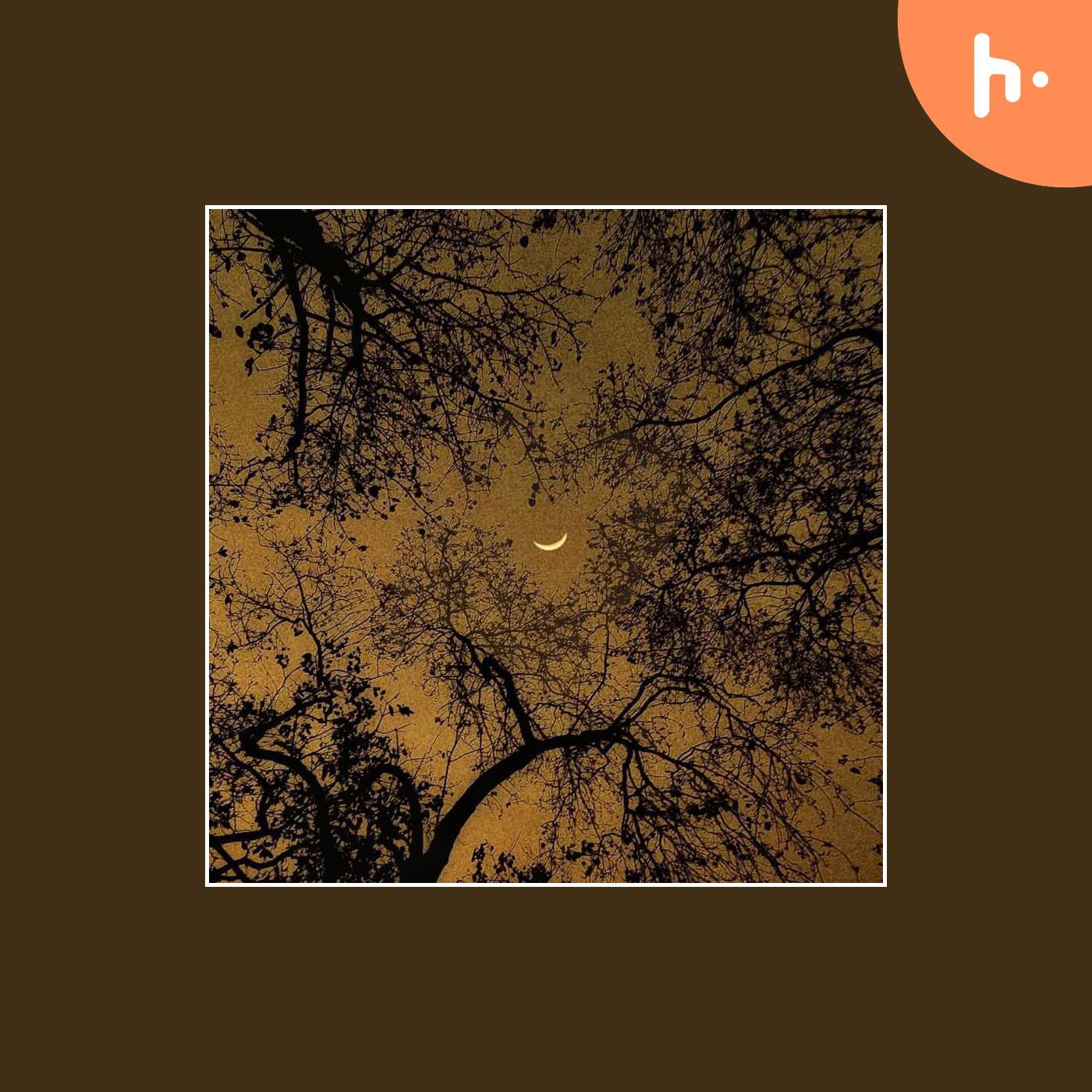 PORIMOL ER KI HOLO?️ Horror story EP:01 cover art