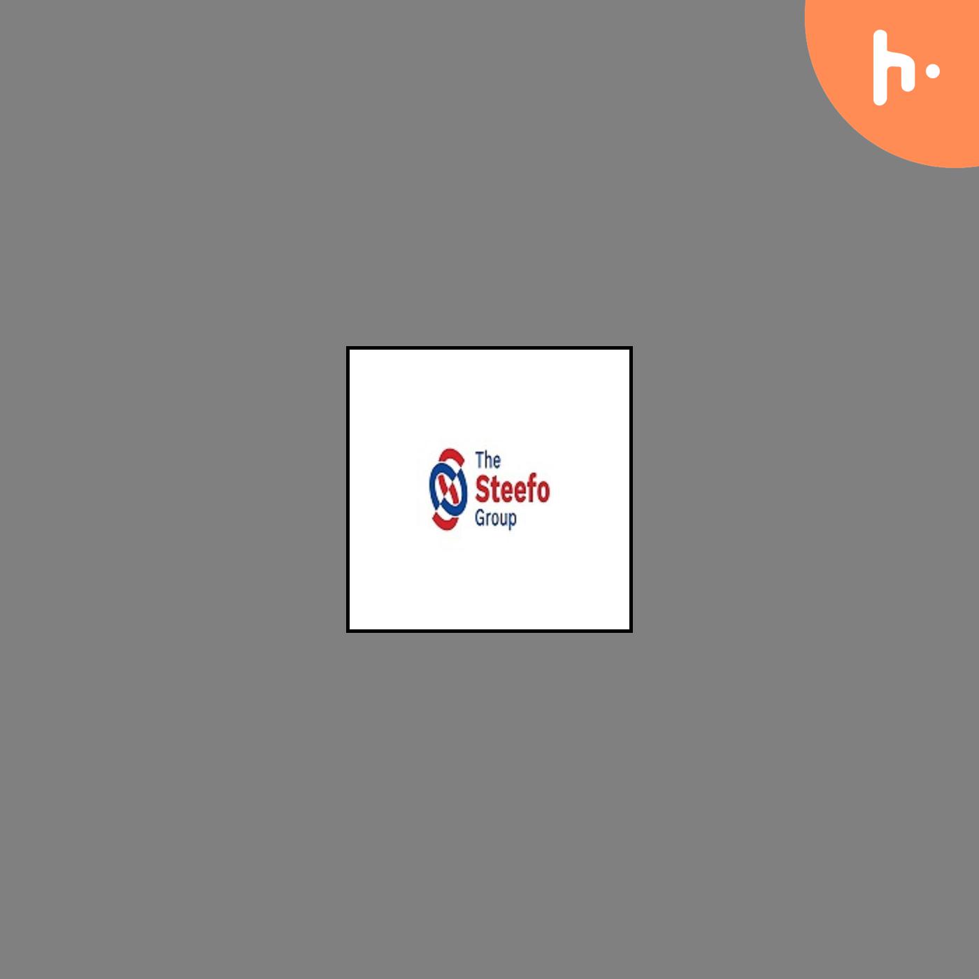 The Steefo Group cover art