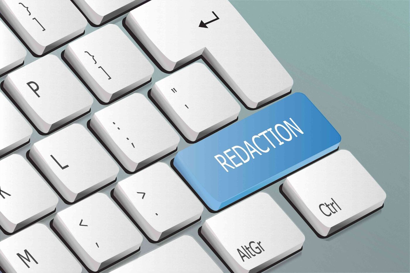 Data Security Through Expert Redaction