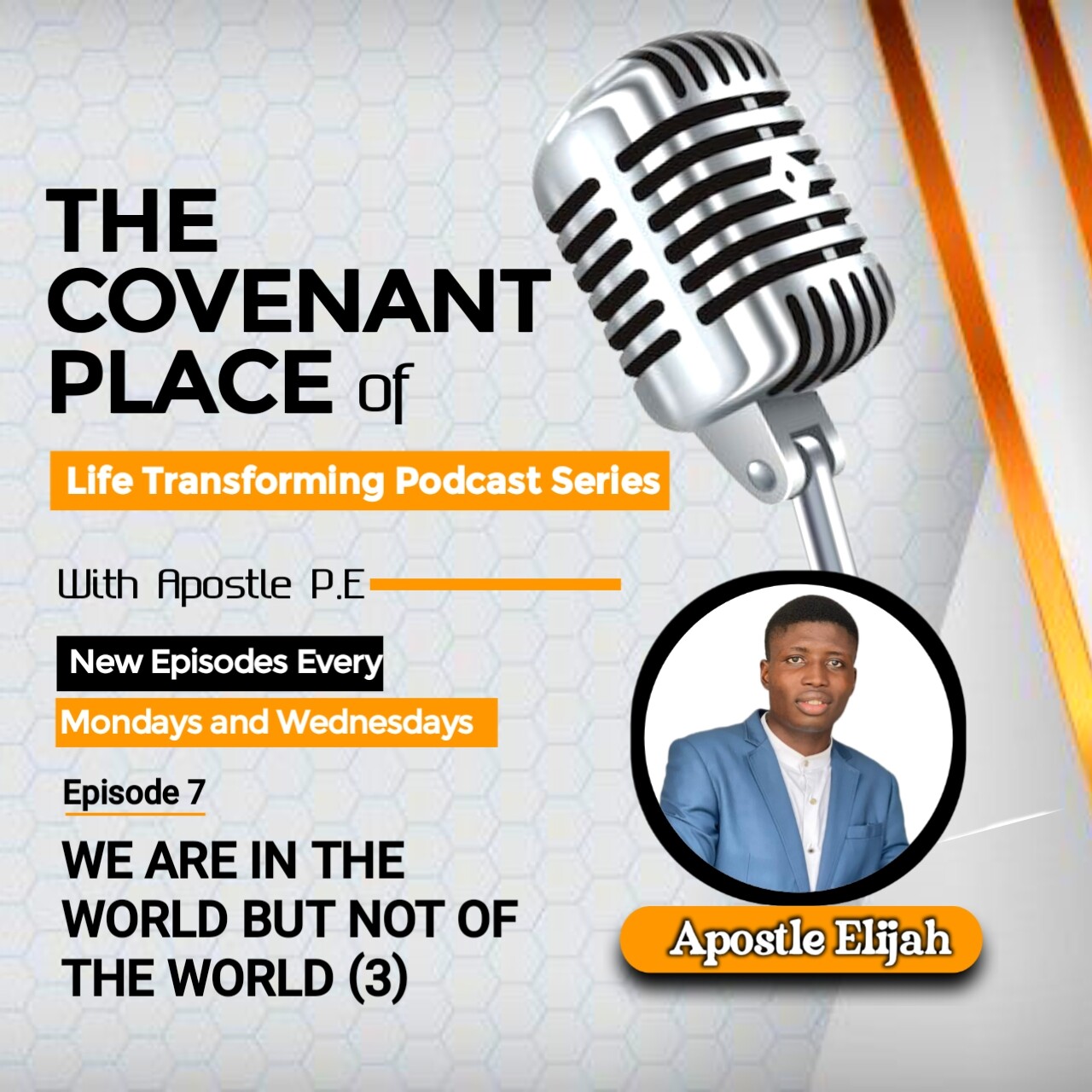 WE ARE IN THE WORLD BUT NOT OF THE WORLD (3) episode artwork