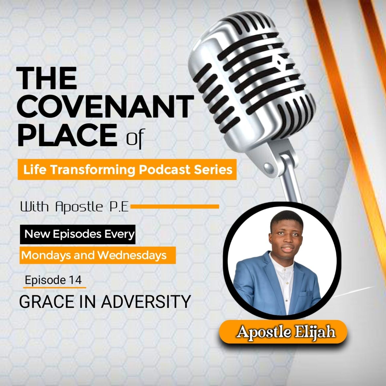 GRACE IN TIME OF ADVERSITY episode artwork