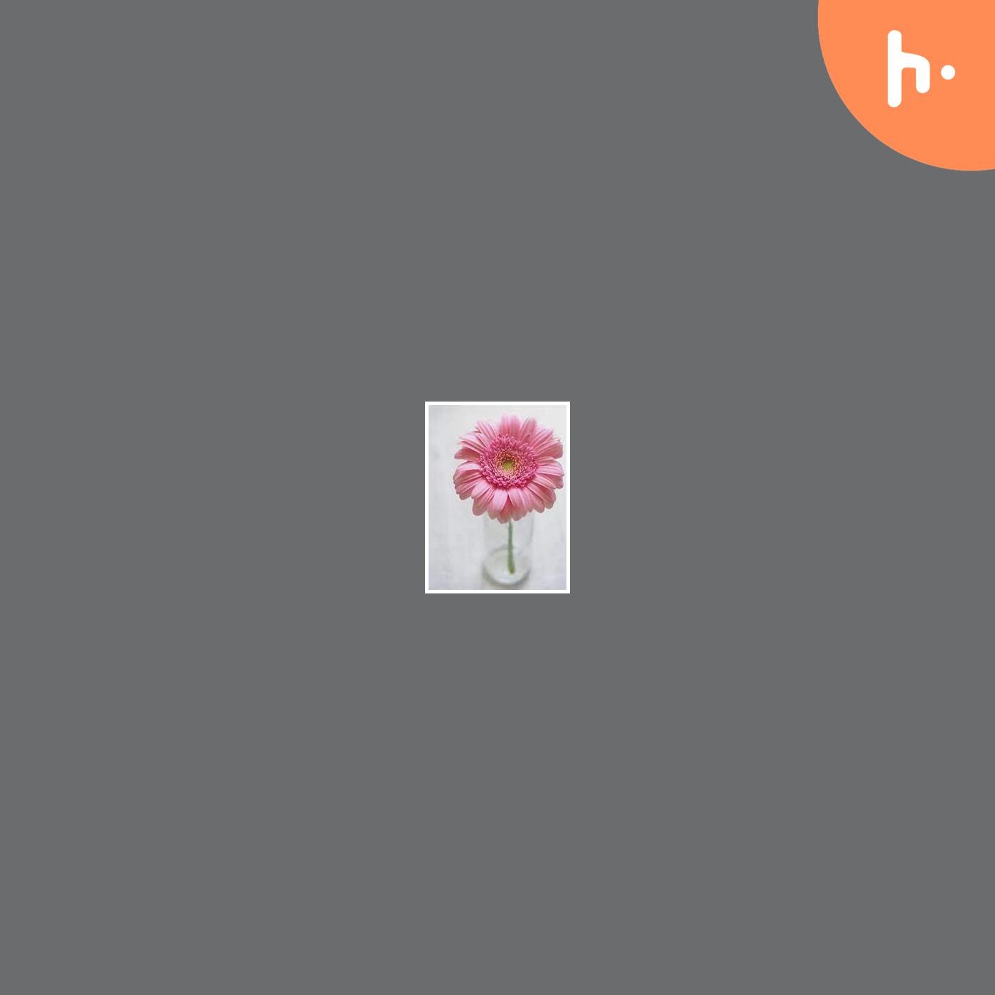 ghost testing
