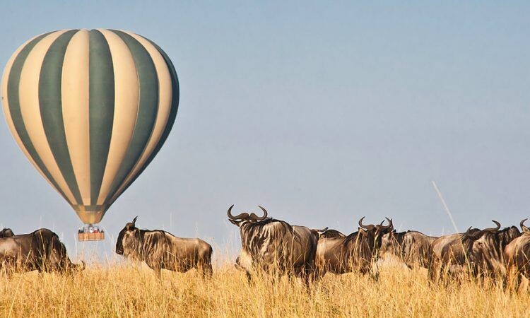 Hot Air Balloon Safari Masai Mara