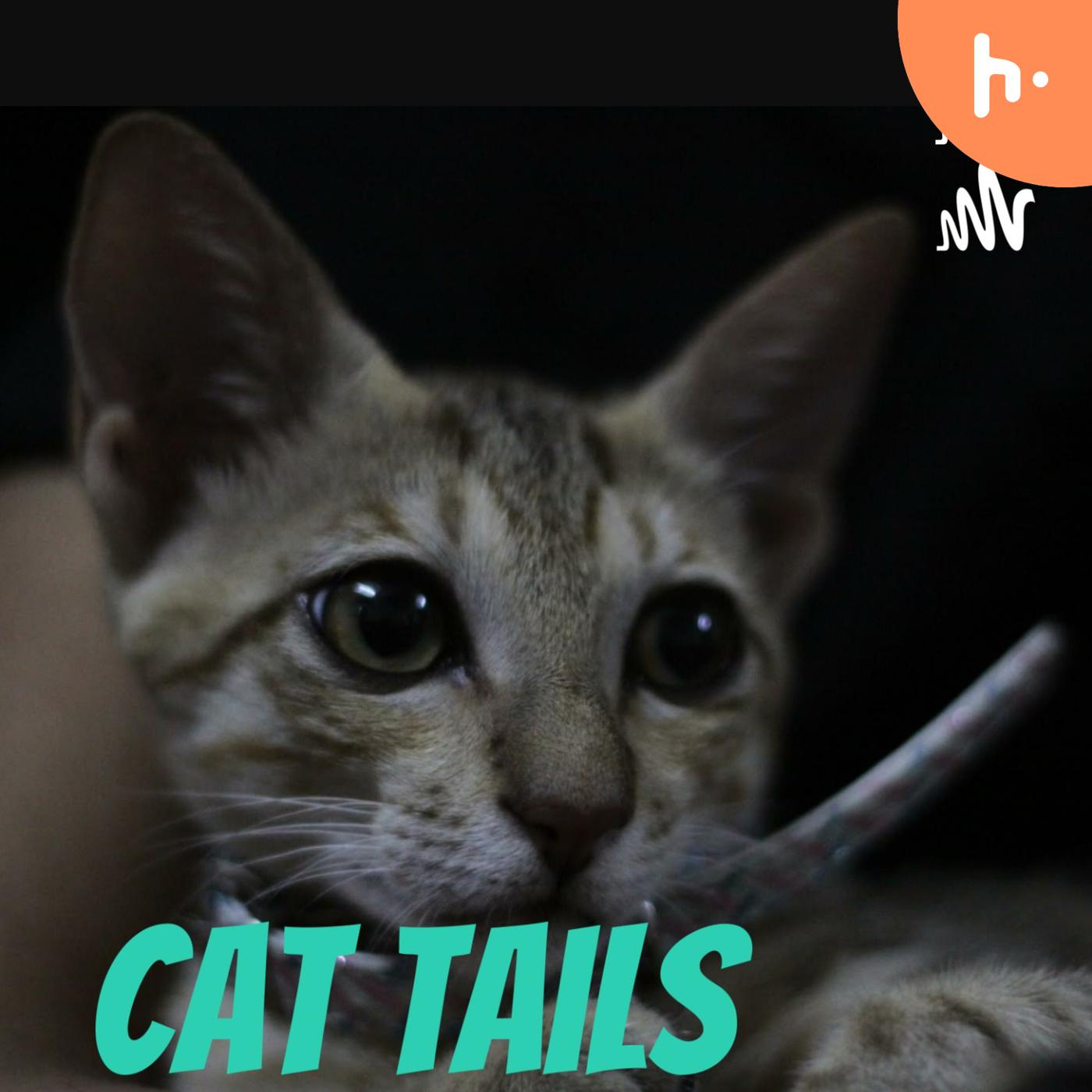 Cat Tails
