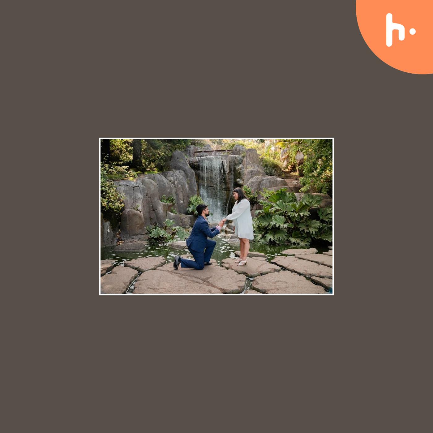 San Francisco Engagement Photographer by Rachel Levine Photography podcast artwork