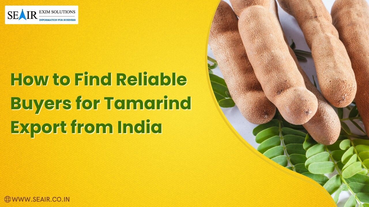 How to Find Reliable Buyers for Tamarind Export from India episode artwork