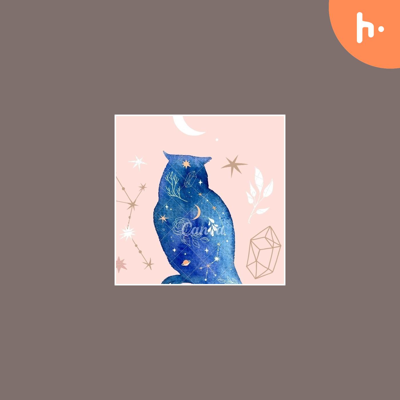 Alquimia da reflexão