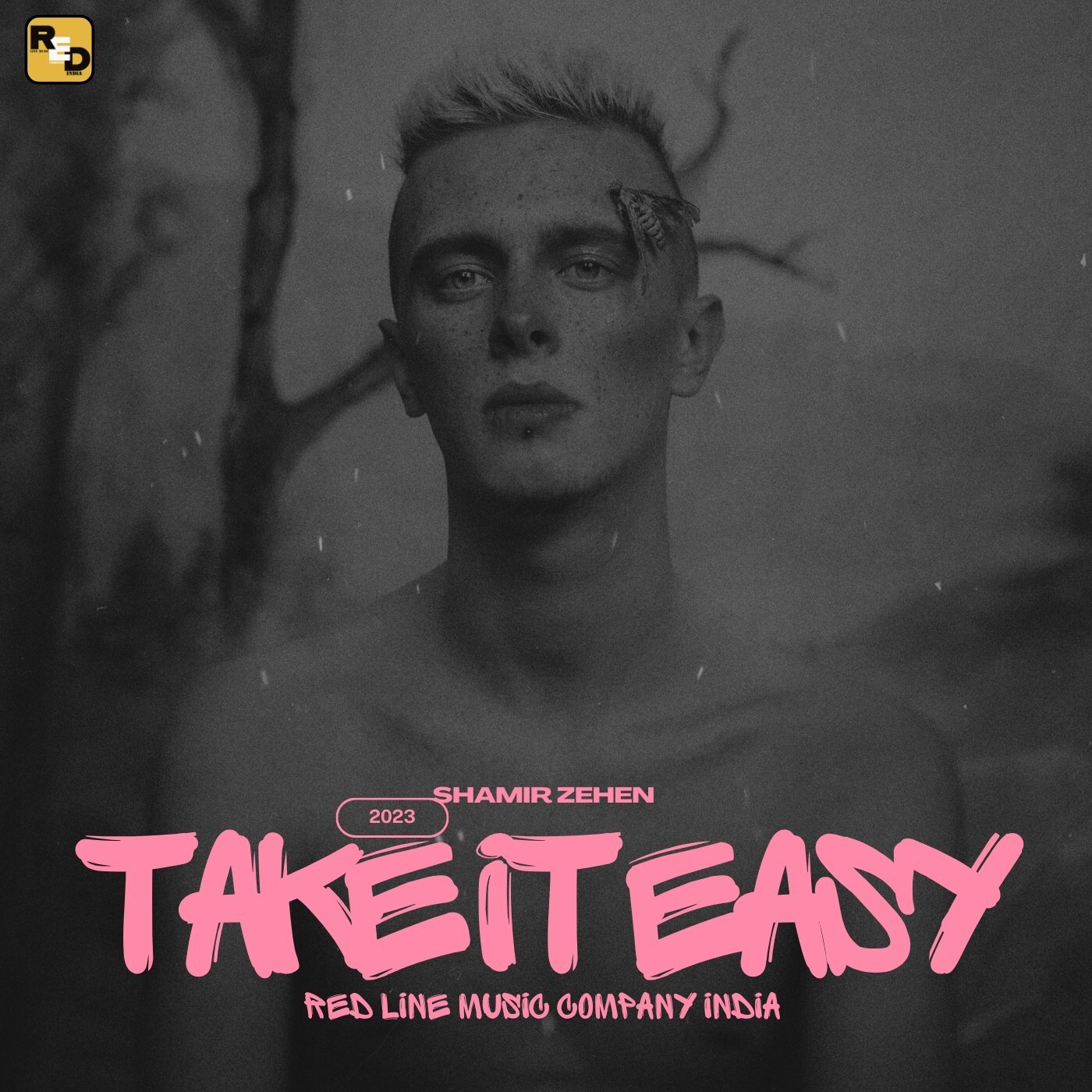 Take it Easy By Shamir Zehen episode artwork