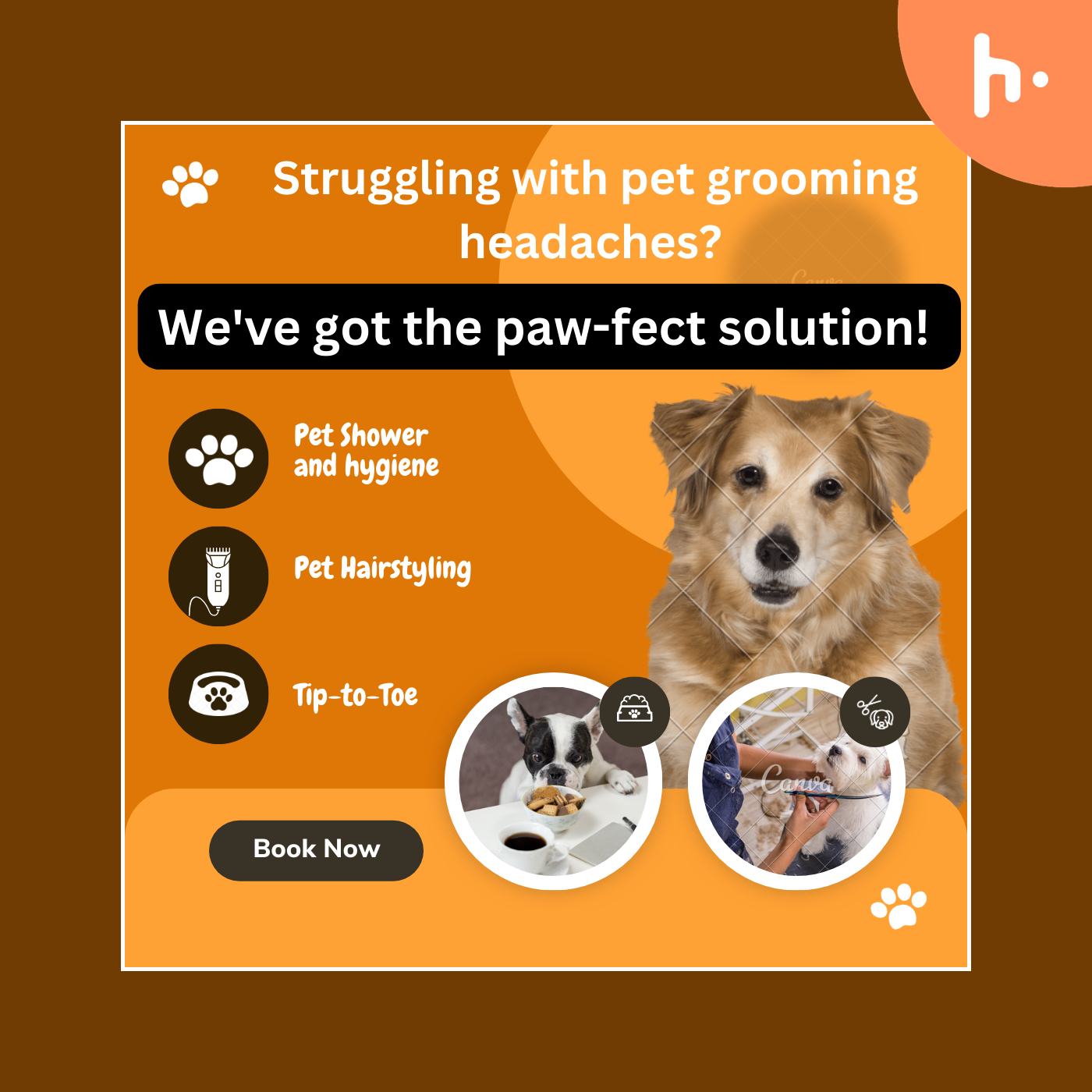 Professional Pet Grooming Services: Treat Your Pet the Best Care podcast artwork