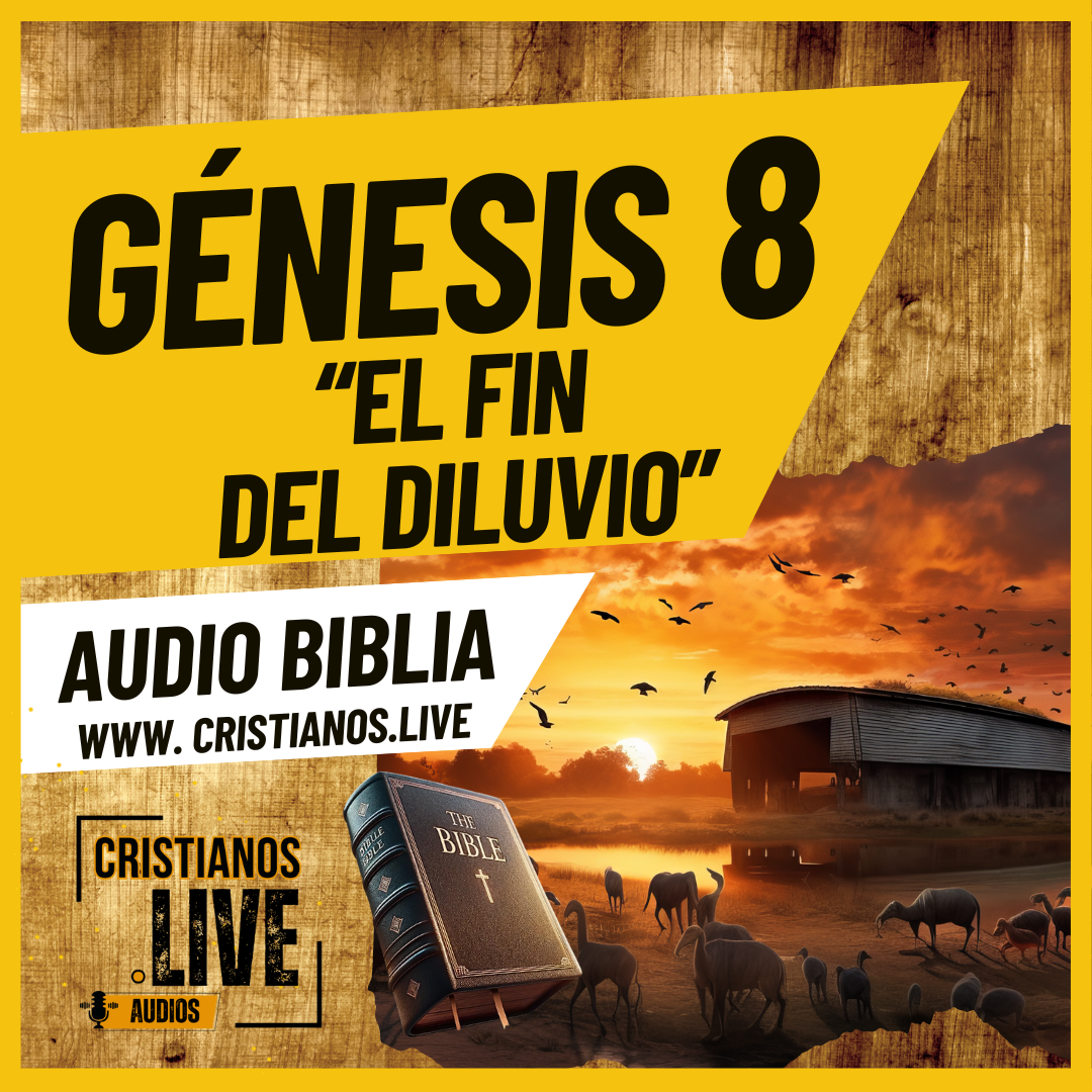 Tu Audio Biblia Diaria