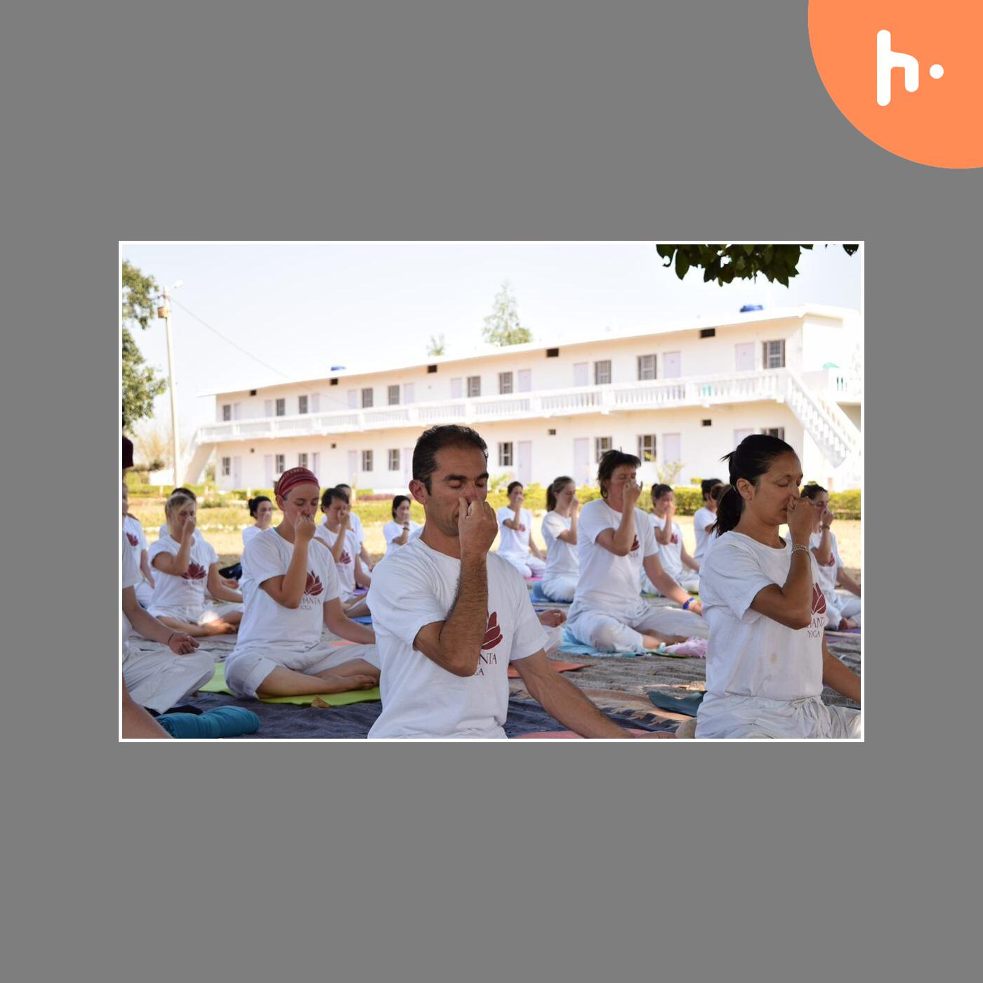 Yoga for Beginners podcast artwork