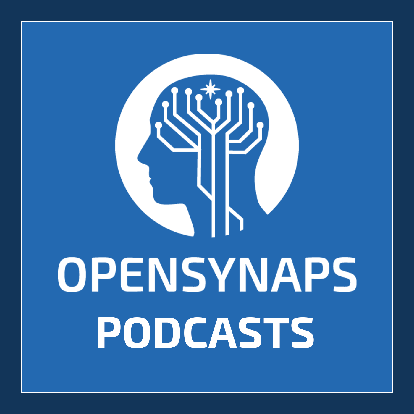 Logo of the podcast OpenSynaps - Hypnose, développement personnel, santé psychique, coaching et + Podcast OpenSynaps - Hypnose, développement personnel, santé psychique, coaching et +
