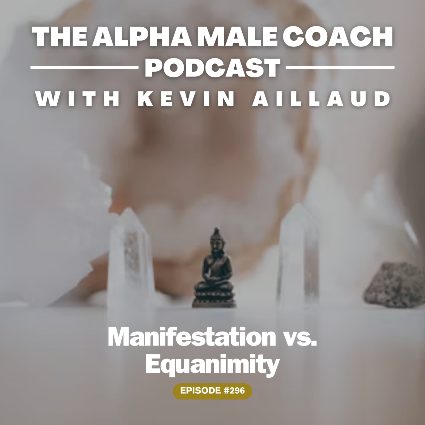 Episode 296: Manifestation vs. Equanimity