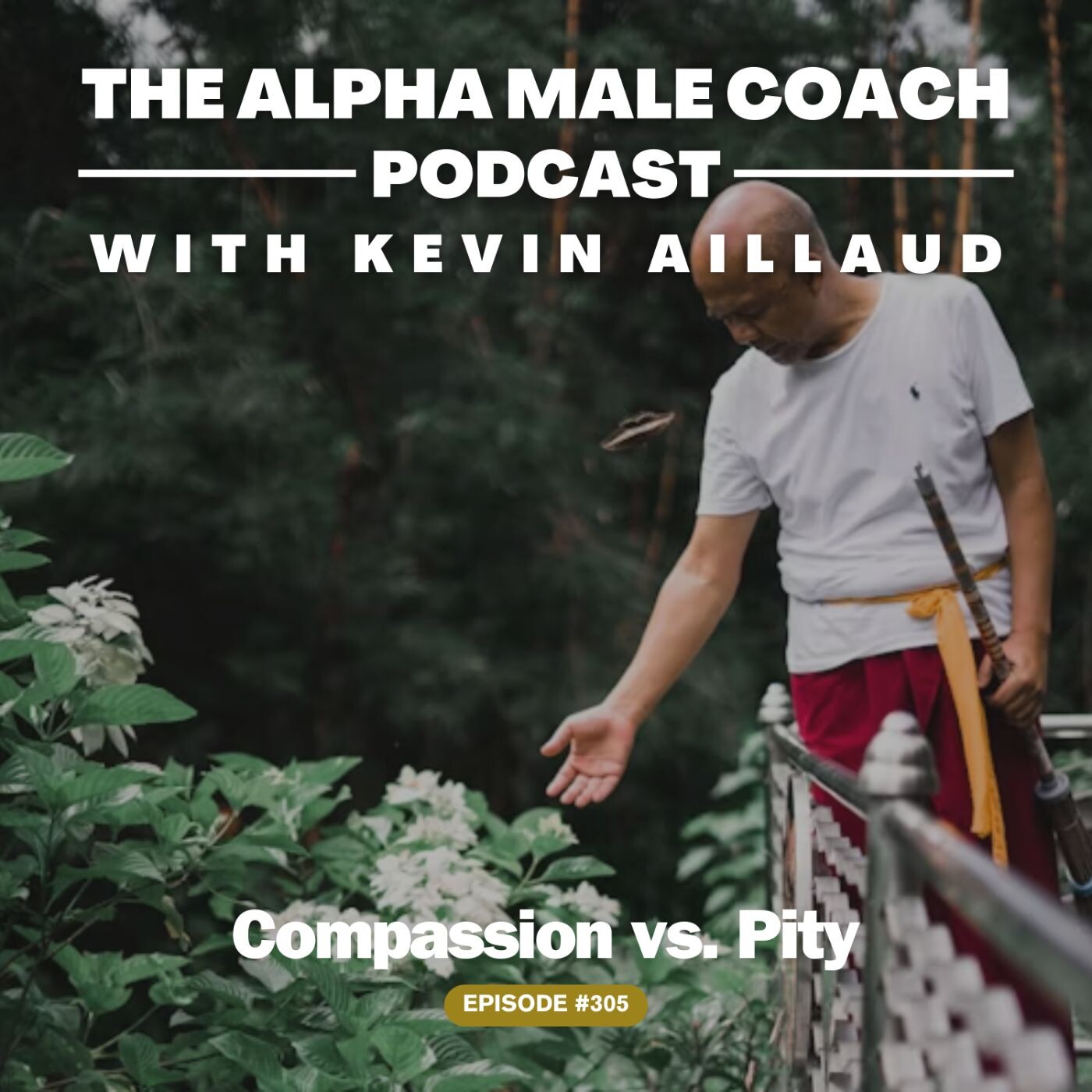 Episode 305: Compassion vs. Pity