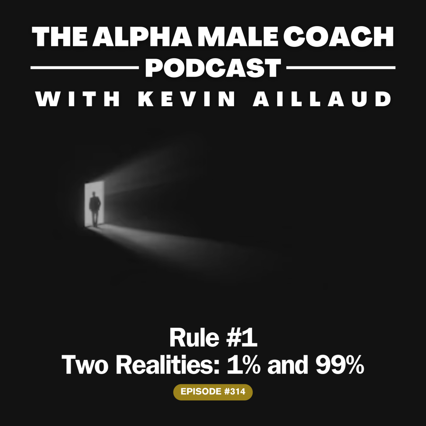 The Alpha Male Coach Podcast