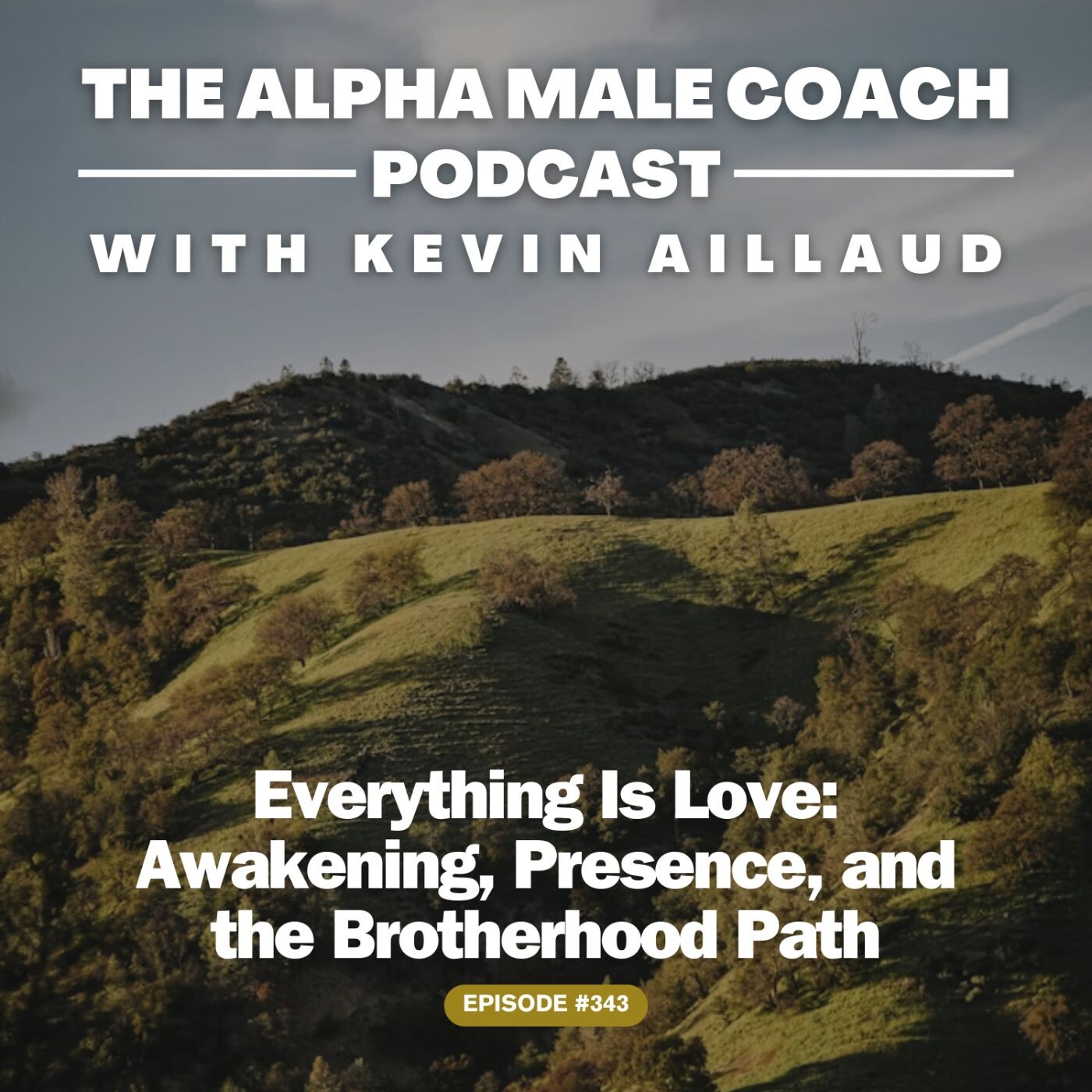 Episode 343: Everything Is Love - Awakening, Presence, and the Brotherhood Path