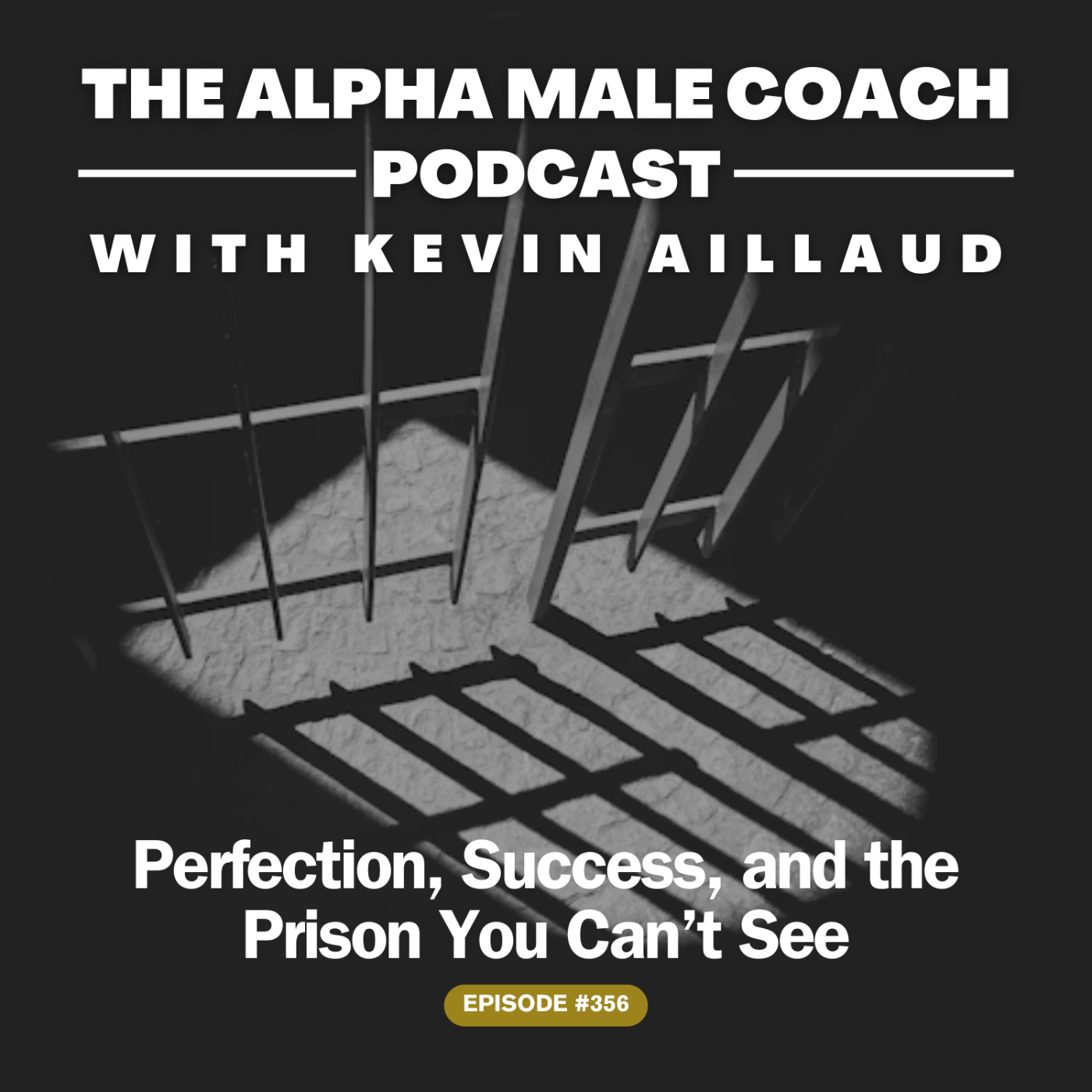 Episode 356: Prison of Success
