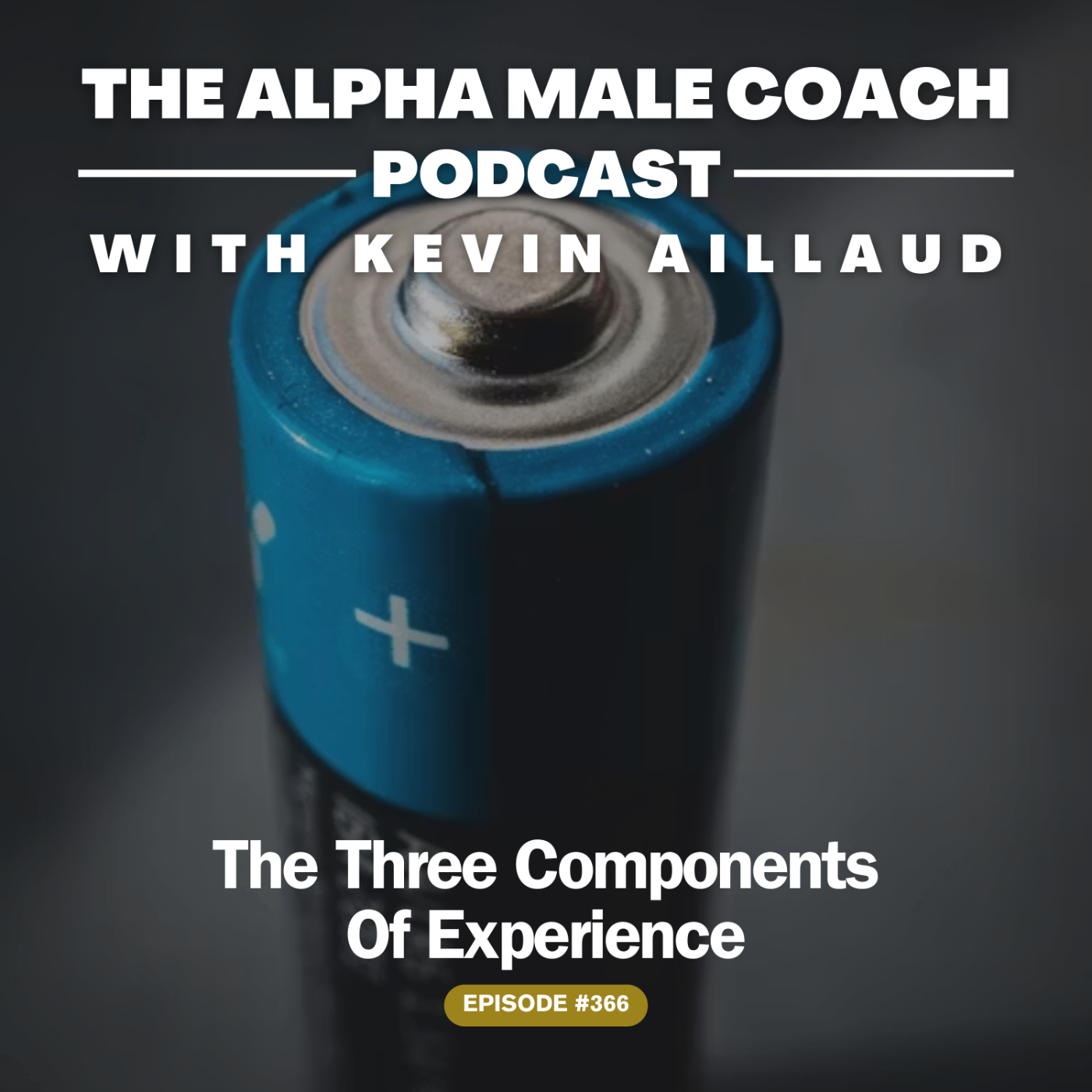 Episode 366: The 3 Components of Experience episode artwork