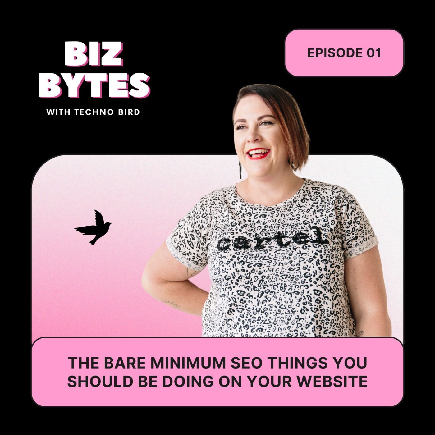 Episode 1 - The bare minimum SEO things you should be doing on your website