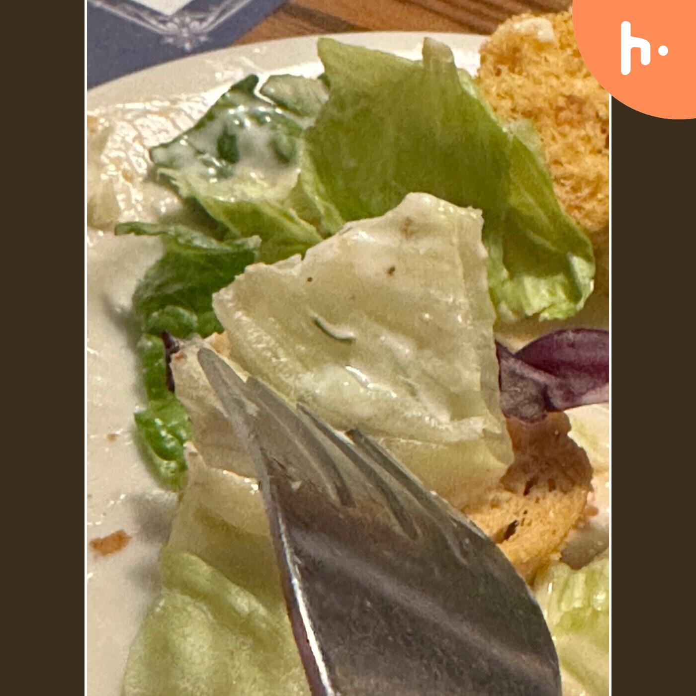 The Happy Salad Show podcast artwork
