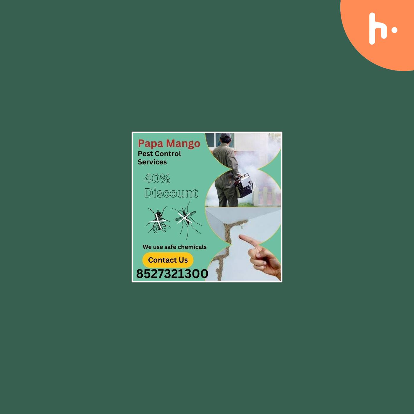 Best termite control Expert in Delhi