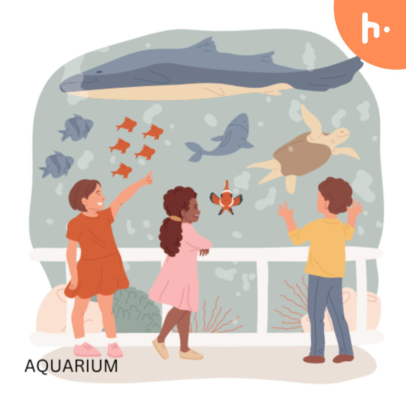 Aquarium Filters