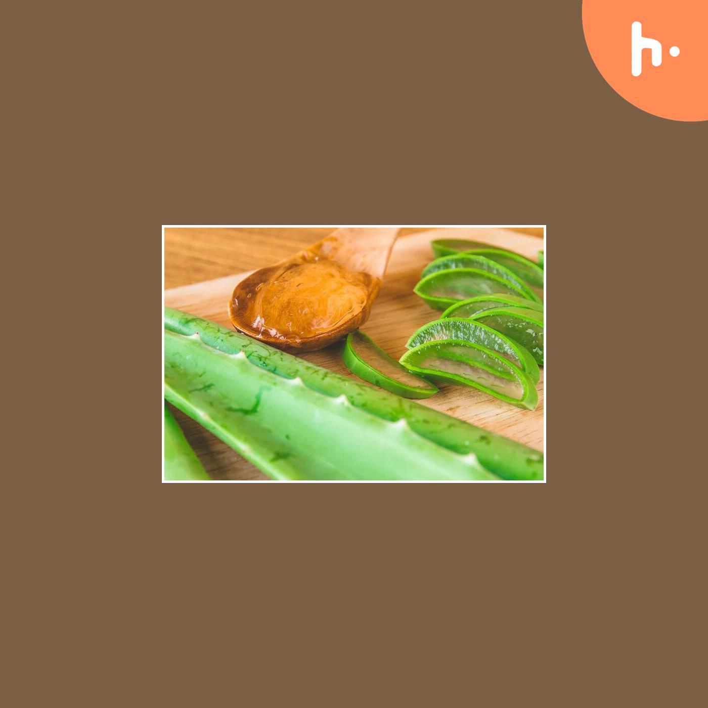 Nature's Elixir: Essential Ingredients for Healthy Skin