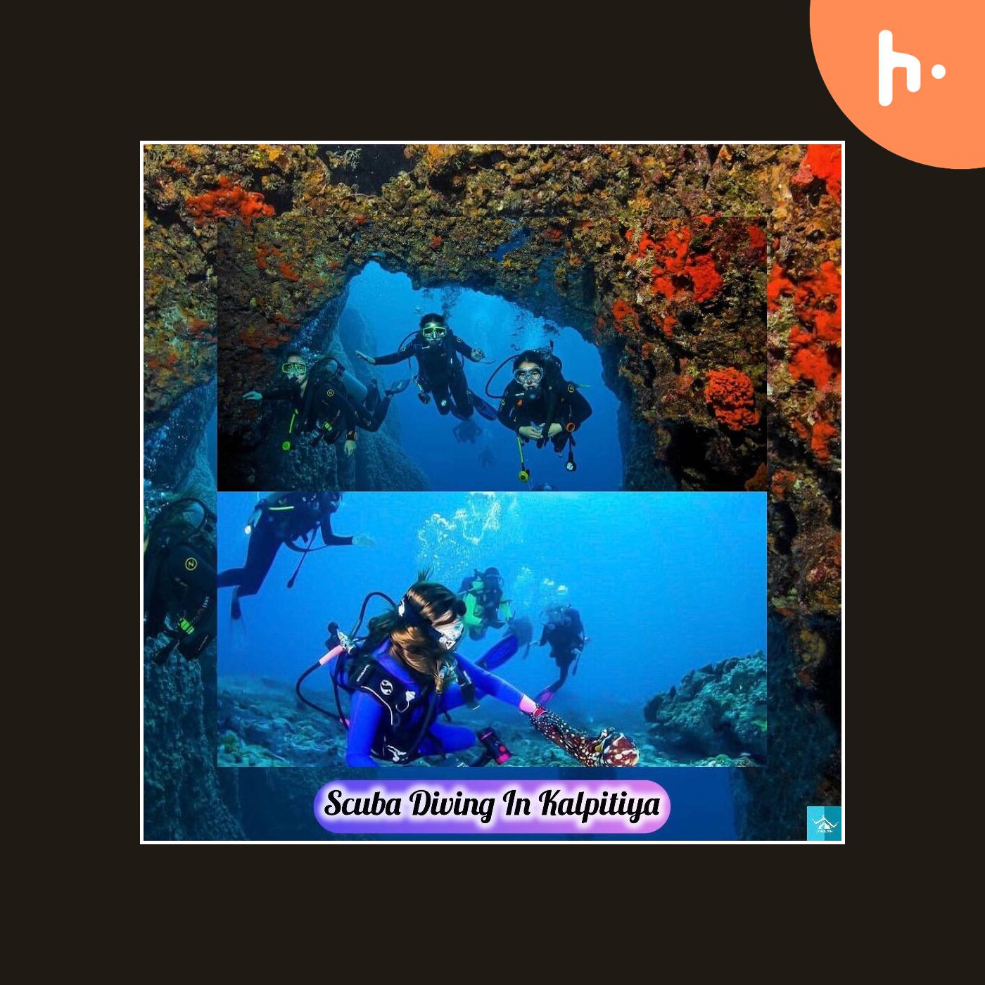 Dive into Kalpitiya: Sri Lanka's Underwater Paradise