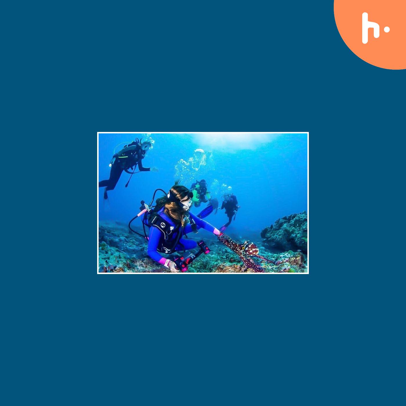 Scuba Diving in Kalpitiya