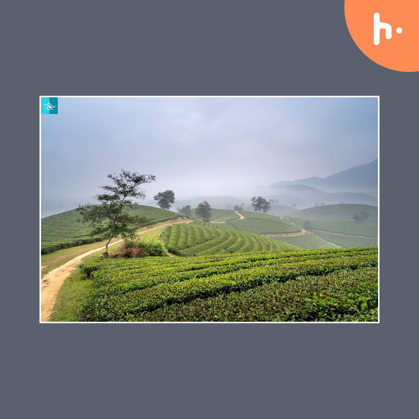 Exploring the Enchanting Sapa: Top Things to Do in Vietnam's Mountain Paradise