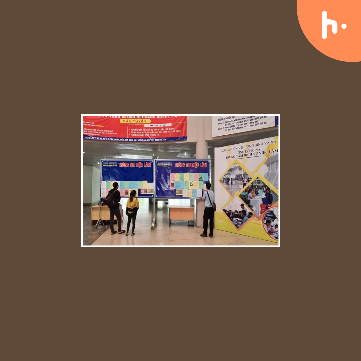 xin việc làm gia lai