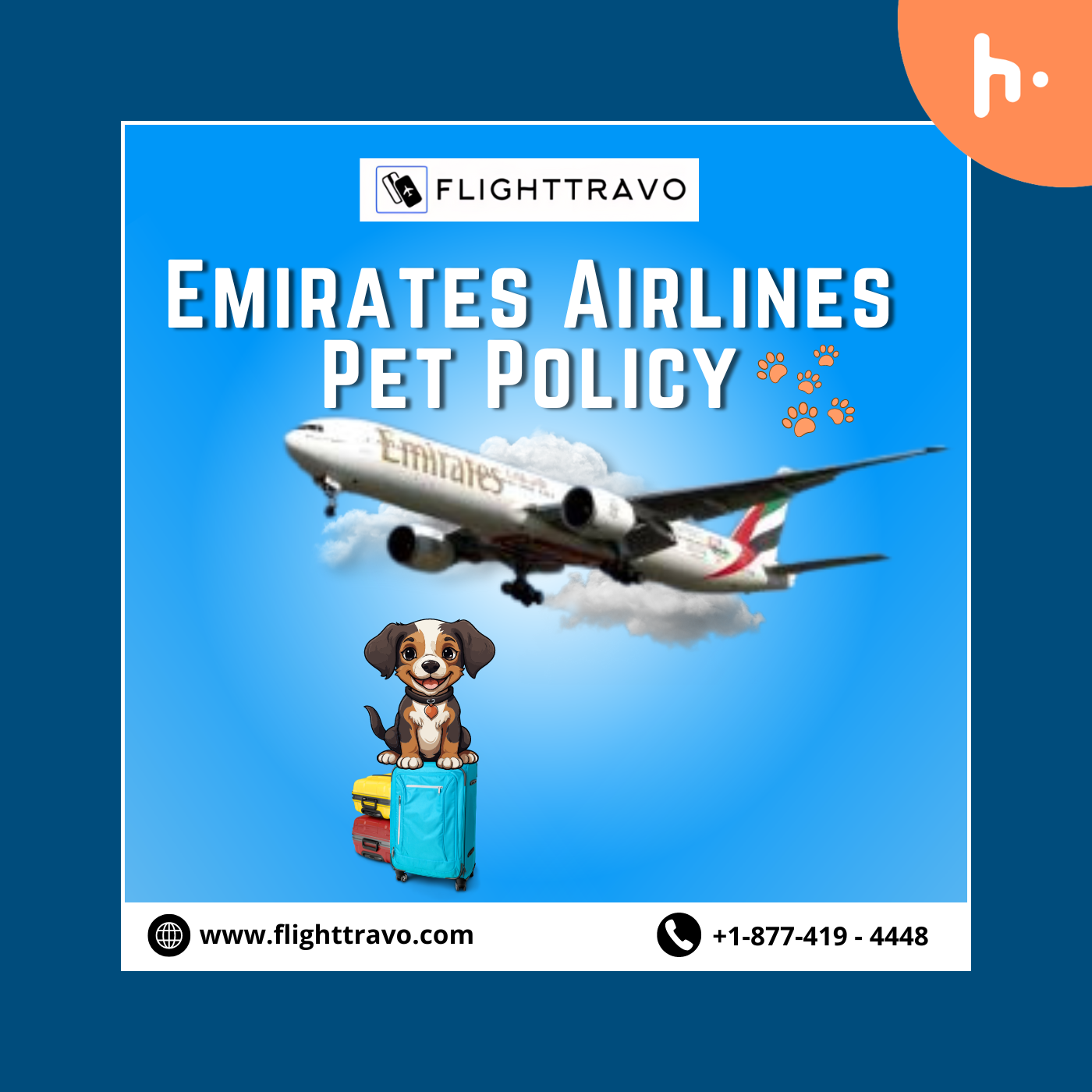 Emirates Airlines Pet Policy